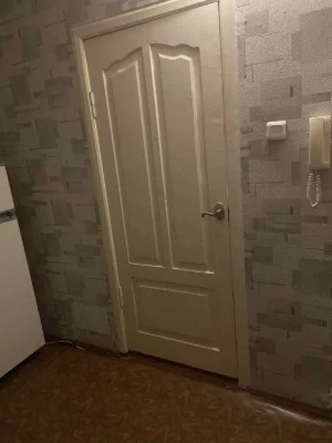 Продам 1 ком. квартиру на Бородинском, ул. Профессора Толока
