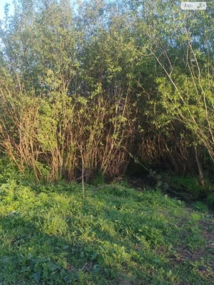 Продаж Ділянка під житлову забудову Староміський