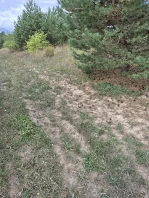 50 сот під забудову