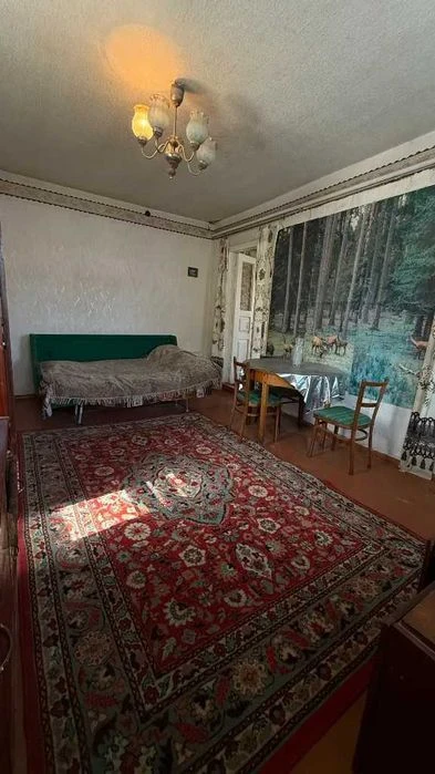 Продаж 4-кімнатного будинку в Діївці-1 | 52 м² | 10 соток |