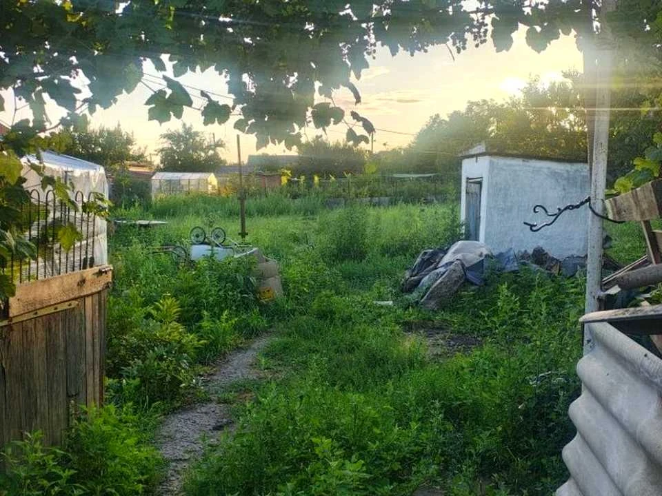 Будинок. Дніпро, Алмазова