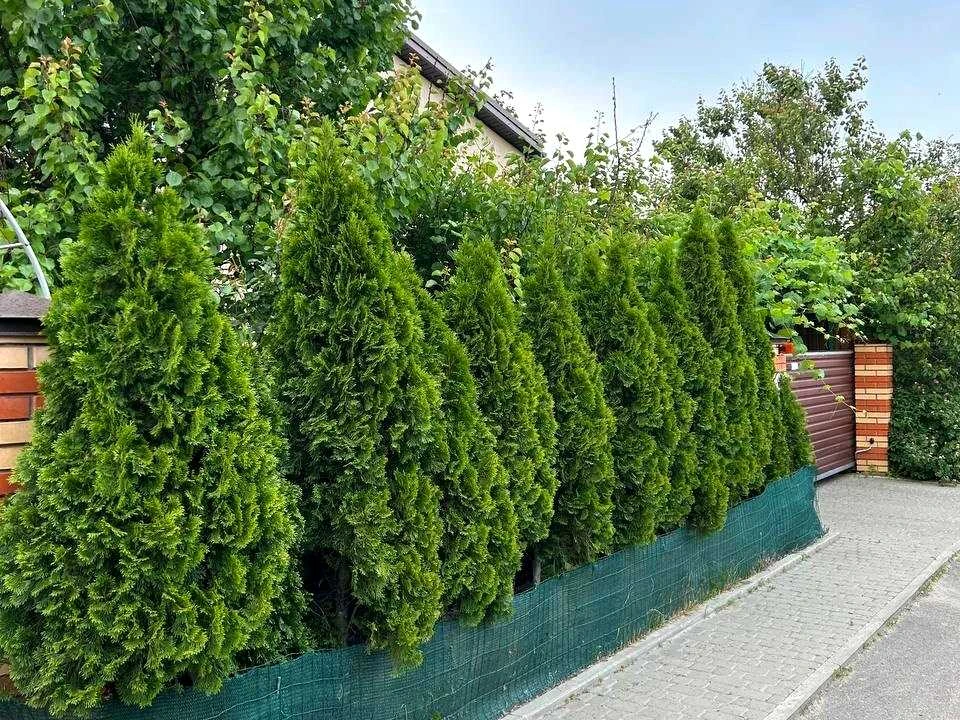 Будинок. Київ, 80-та Садова вул.