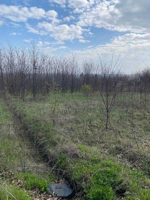 Продам участок в Диевке переулок Манежный