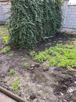 Продам дом   на Китобойной