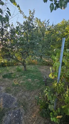 Продажа дачи, дачного участка,  Бородинский ( На против Сосе
