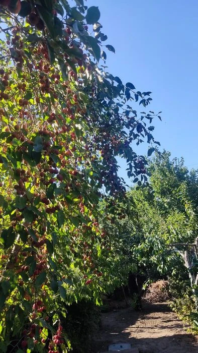 Продам Дом 300 м.кв. на Клочко ТРЦ КАРАВАН Березинка