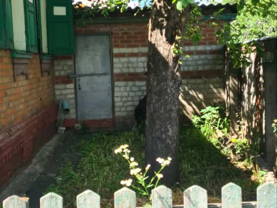 Будинок. Харків, Благодатна вул