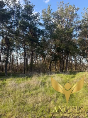 Продаж земельної ділянки біля лісу 9 сот Лелеківка