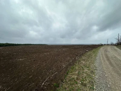 Продаж 2 га земельноі ділянки