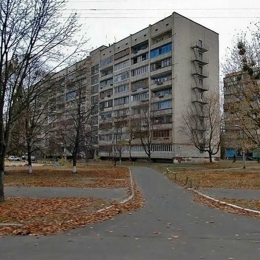 Продаж 1-кімнатної квартири 28.2 м², Космонавта Волкова вул.