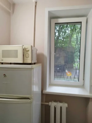 Продаж 1-кімнатної квартири 20 м², Сім'ї Сосніних вул., 12А
