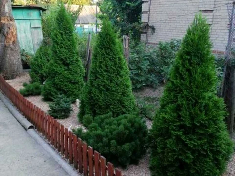 Дом. Запорожье, Инженера Лата ул.