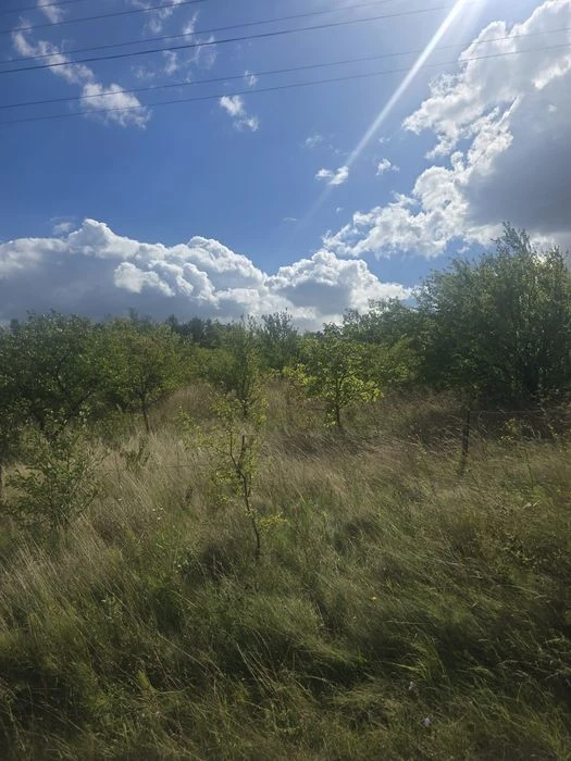 Продаж земельної ділянки в с.Малиничі!