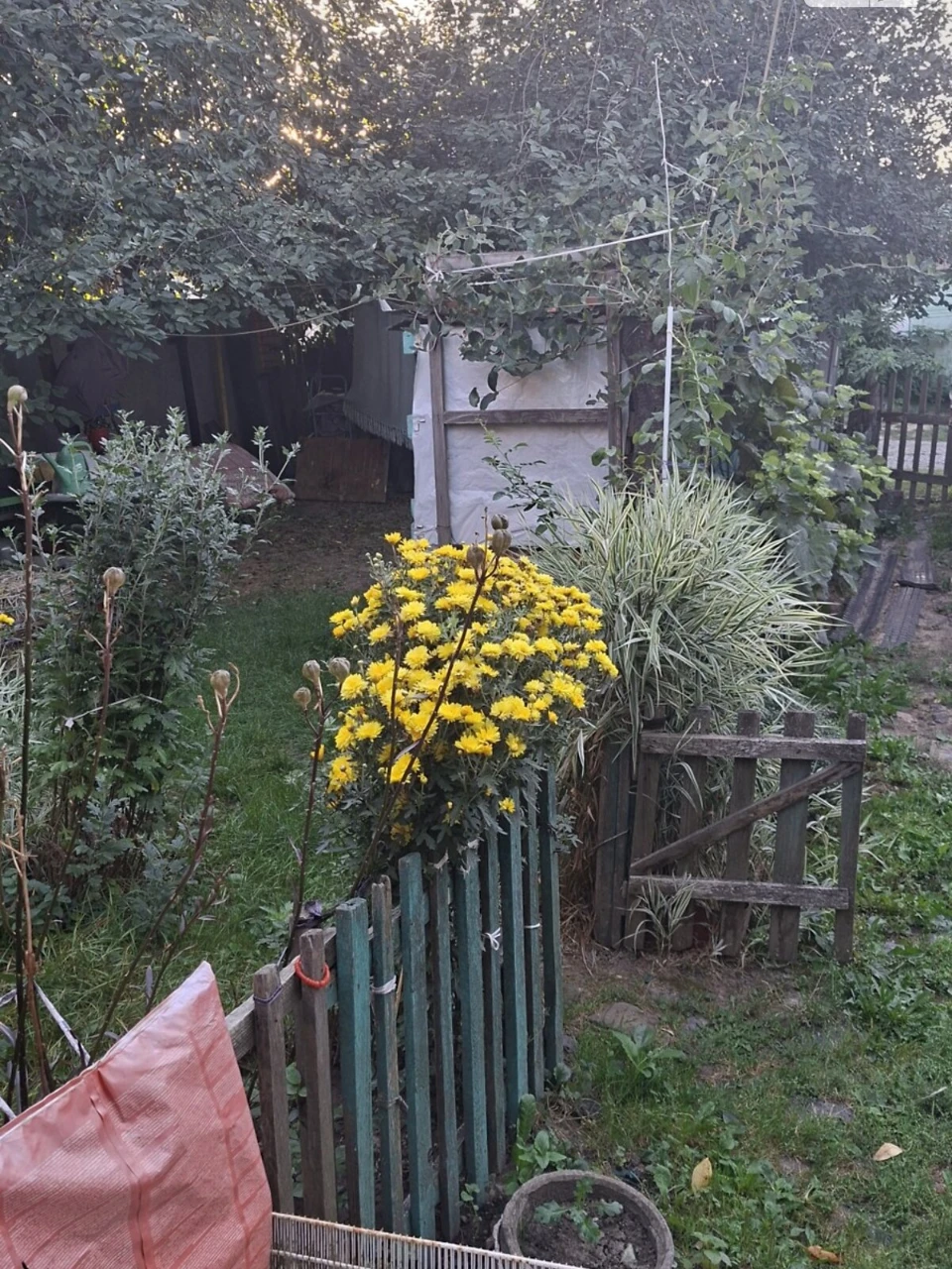 Продаж Частина будинку Замостянський