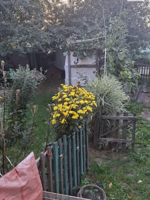 Продаж Частина будинку Замостянський
