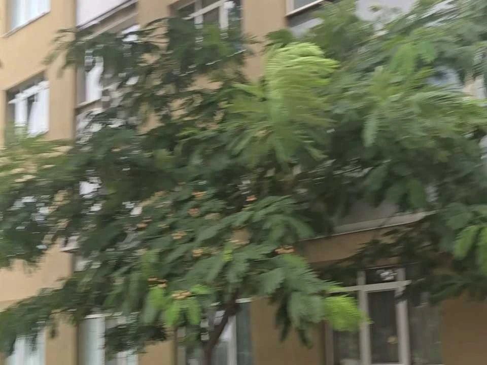 Квартира. Одесса, ул.