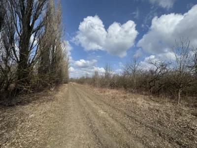 Продаж ділянки Ружична
