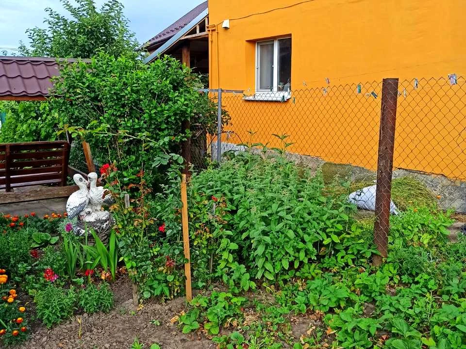 Будинок. Вінниця, Чумацька вул. (Блюхера)