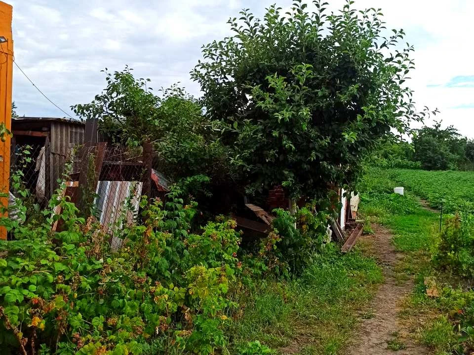Будинок. Вінниця, Чумацька вул. (Блюхера)