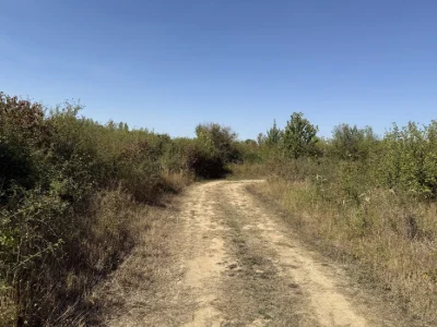 Продаж земельної ділянки мкр.Садовий, Ужгород