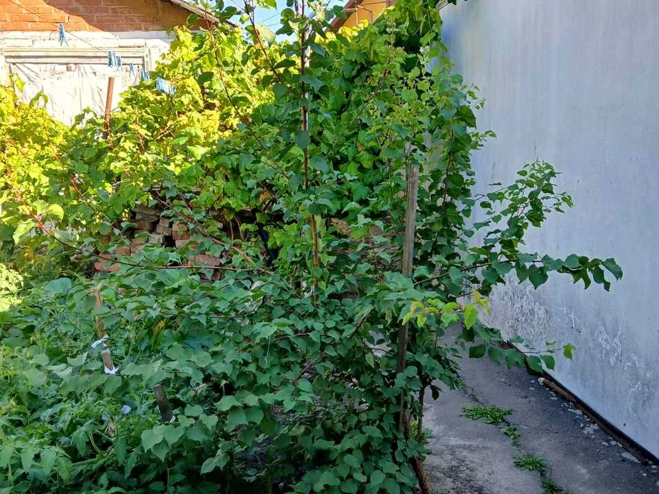 Будинок. Вінниця, Валеріана Боржковського вул. (Тельмана)