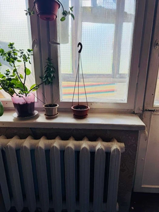 I will sell a 3-room apartment.