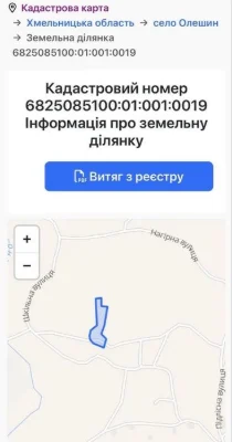 Земельна ділянка Олешин 30 соток