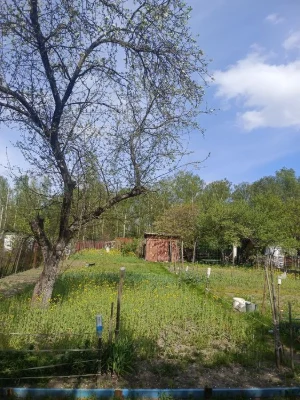 Продаж дачі  товариство Деснянка