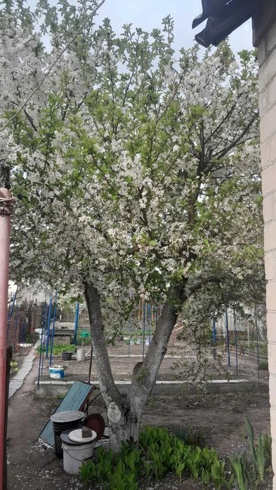 Продам   отличный дом 80кв.м,с всеми удобствами.