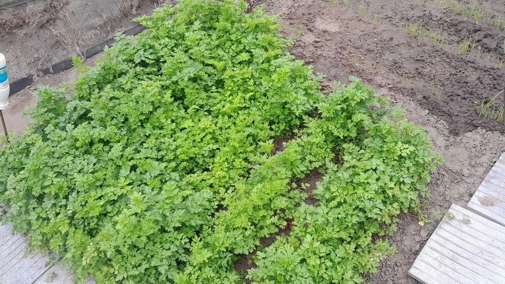 Продам   отличный дом 80кв.м,с всеми удобствами.