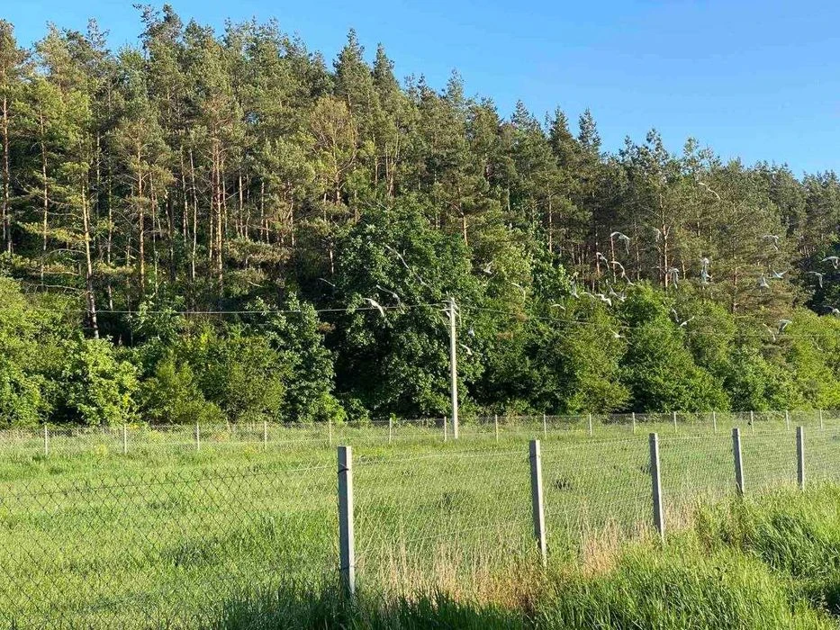 Продаж земельної ділянки