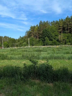 Продаж земельної ділянки