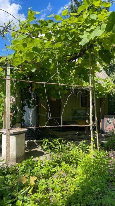Продаж Садового будинку у селі Мацьківці