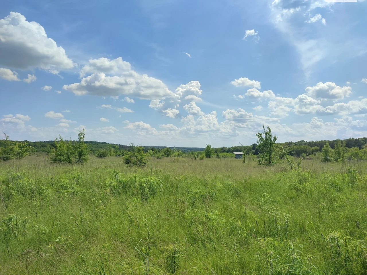 Продаж Ділянка під житлову забудову Академічний