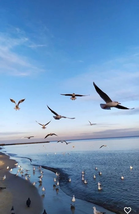 Квартира с видом на море на Б. Фонтане в сданном доме в расс.