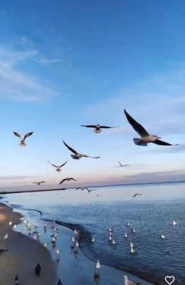Квартира с видом на море на Б. Фонтане в сданном доме в расс.