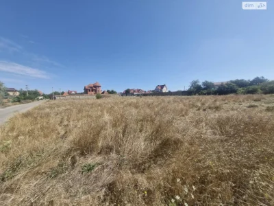 Продаж Земля сільськогосподарського призначення Хаджибейськи