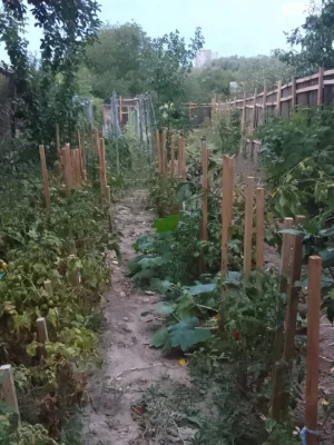 Продаж Частина будинку Староміський