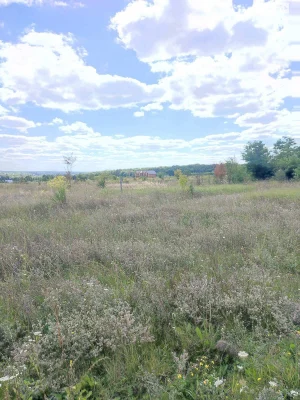 Продаж Земля сільськогосподарського призначення Академічний