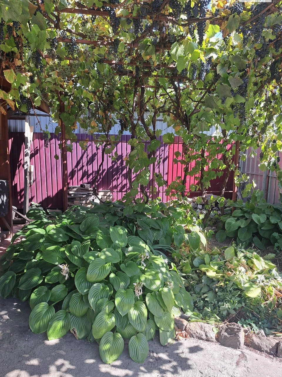 Продаж Частина будинку Слов'янка