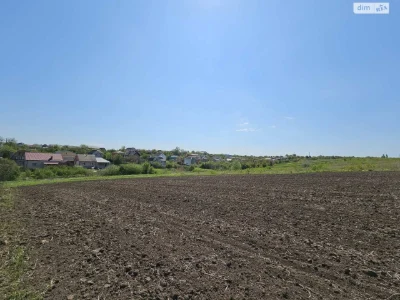 Продаж Земля сільськогосподарського призначення Ружична