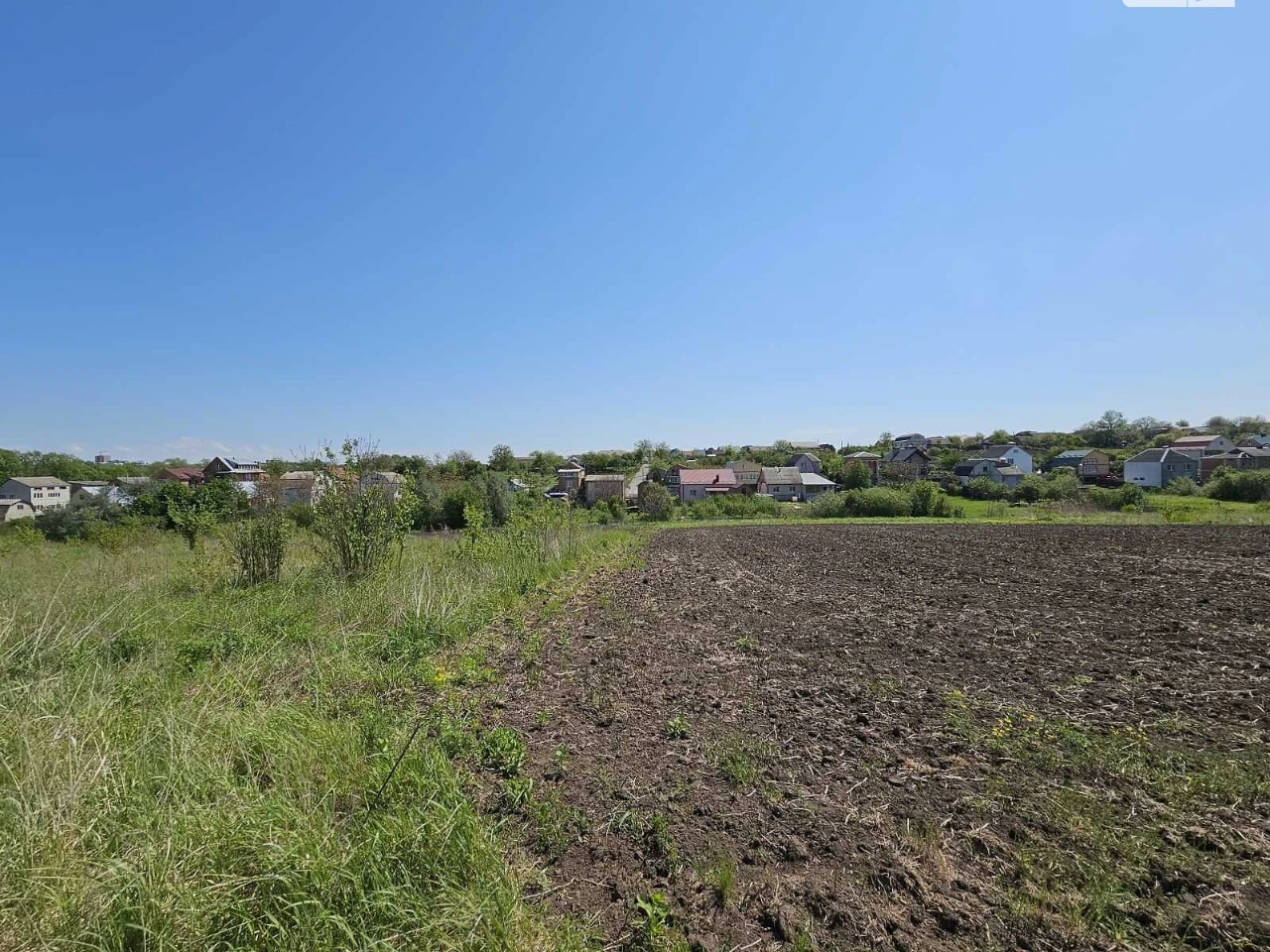 Продаж Земля сільськогосподарського призначення Ружична