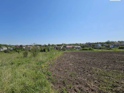 Продаж Земля сільськогосподарського призначення Ружична