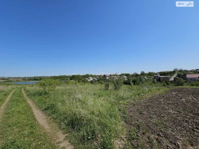 Продаж Земля сільськогосподарського призначення Ружична