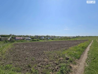 Продаж Земля сільськогосподарського призначення Ружична