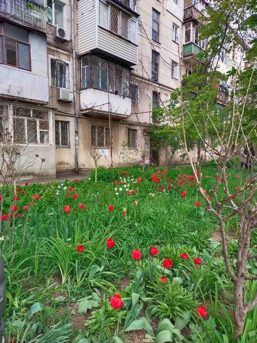 URGENT! It is possible according to the programs! 1-room apartment near the Park