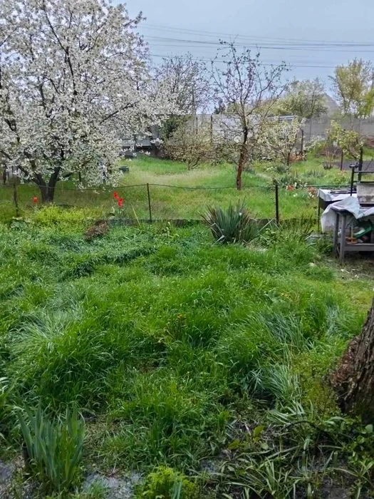 Продам будинок в березанівці по вул Передова.