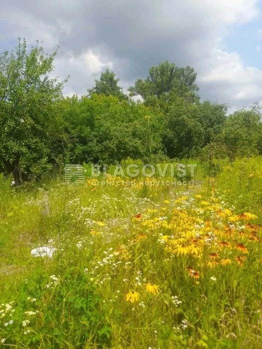 Продаж земельна ділянка 0,08 га, Литовський просп. (Мінський