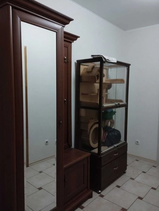 2 two-room apartments for sale, Balzac Street 6.