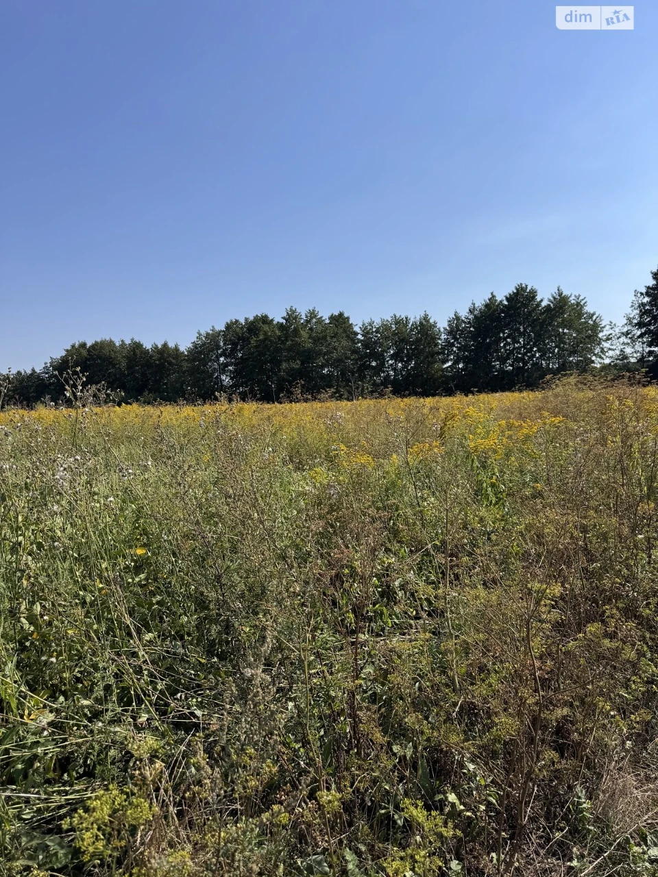 Продаж Ділянка під житлову забудову Замостянський